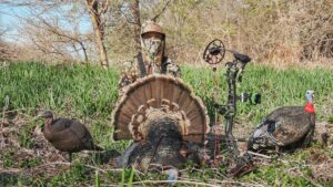 Turkey hunter with bow and decoys in nebraska