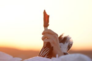 Nebraska snow goose hunter holding up banded leg of goose.