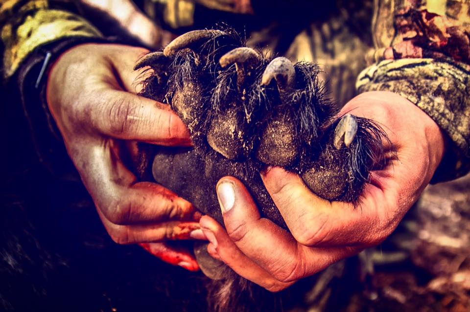 Idaho Bear Hunt, Riggins ID