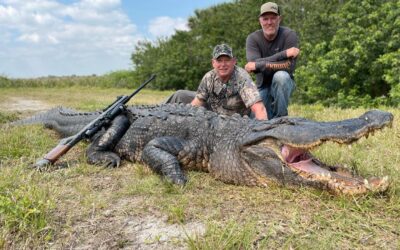 Gator Hunting on Public and Private Ground in Florida
