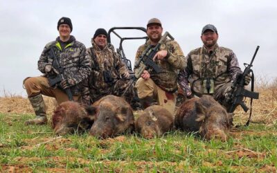 Hog Hunting in the United States: A Look at Feral Hogs