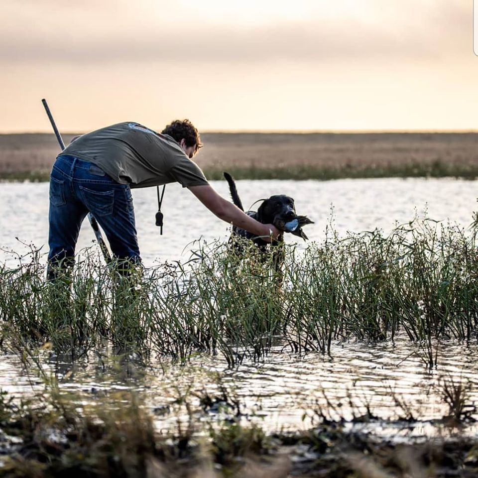 Hunting guide shown with dog in early season teal hunt in Kansas.