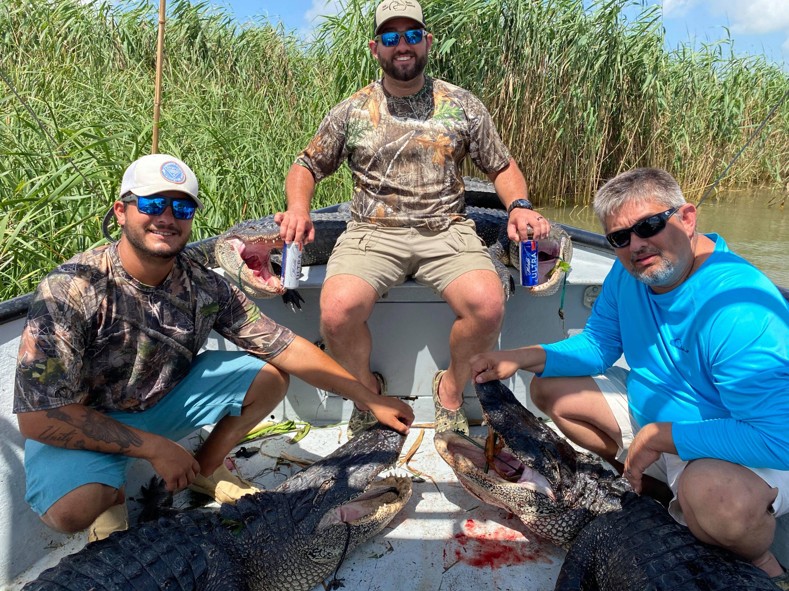 Louisiana gator hunt, line hunt showing three hunters and 4 gators, legally harvested during open season.