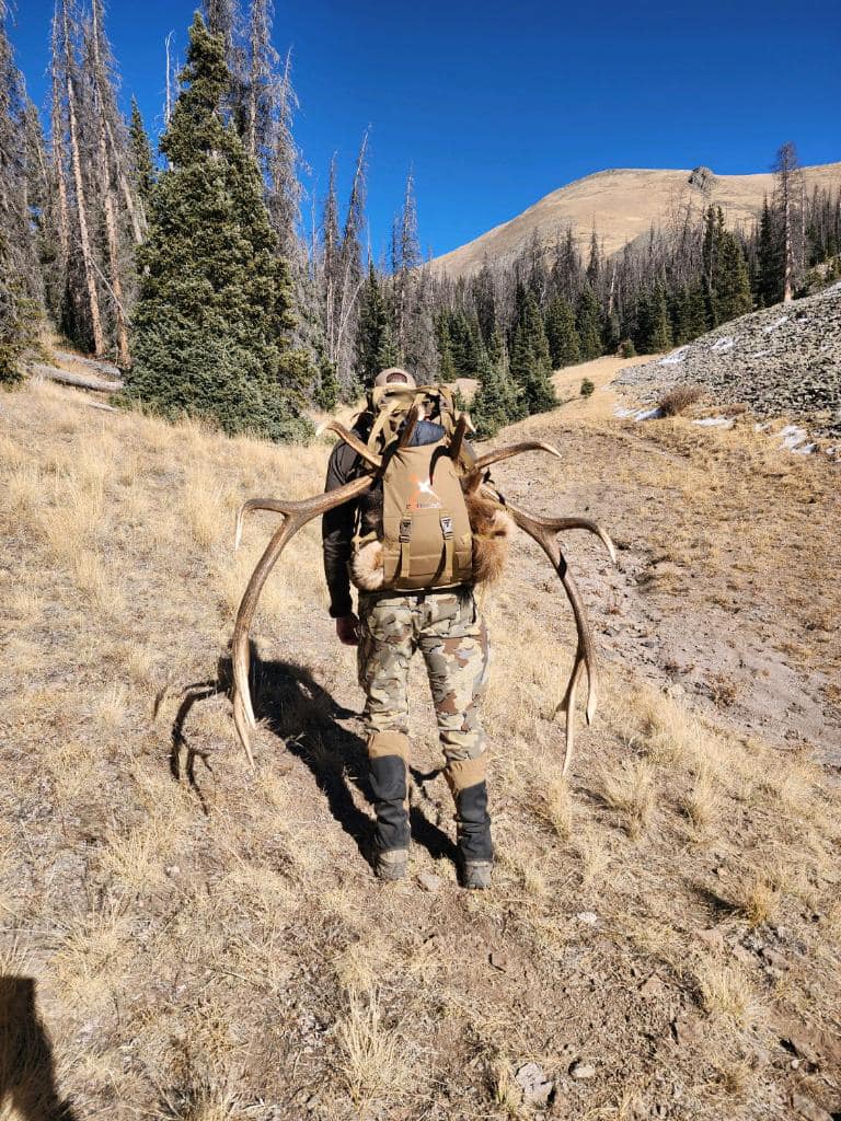 Man hiking in colorado with elk skull and antlers that he's packing out.