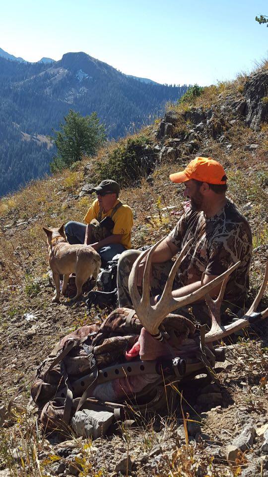 Hunters in Wyoming on an archery elk hunt, shown with harvested elk.