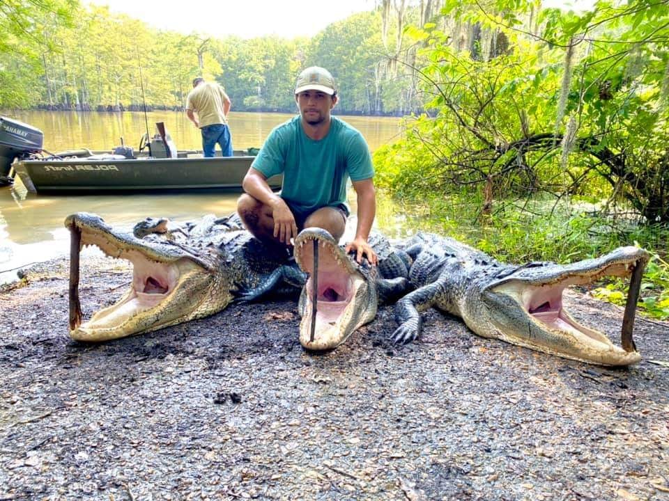 Louisana public land gator hunter shown with three gators.