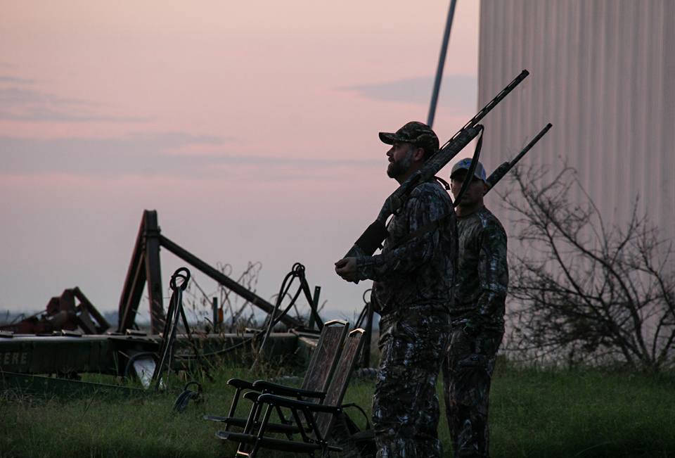 Oklahoma guided dove hunt