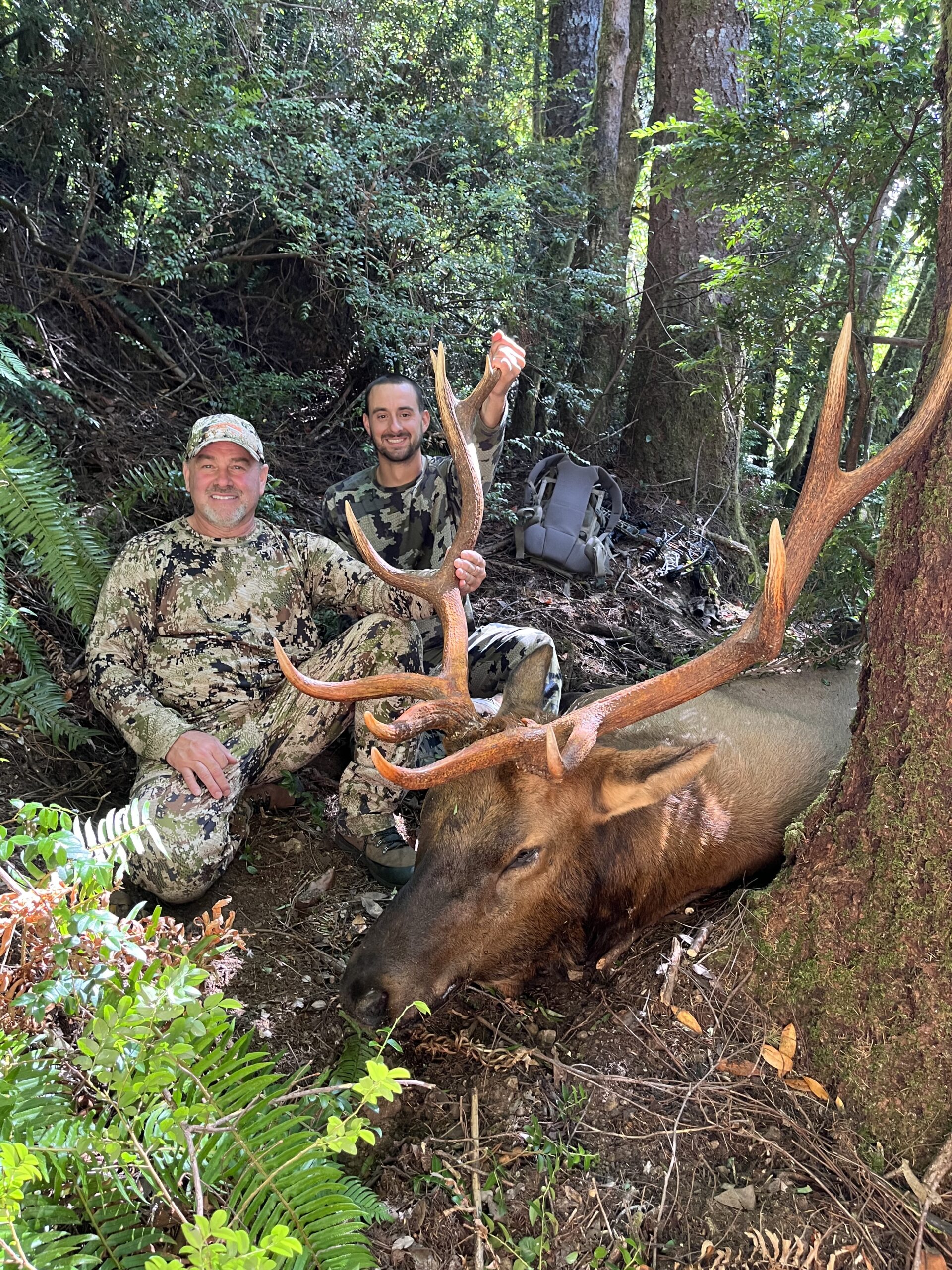 Hunters shown with Elk in Coquille, Oregon