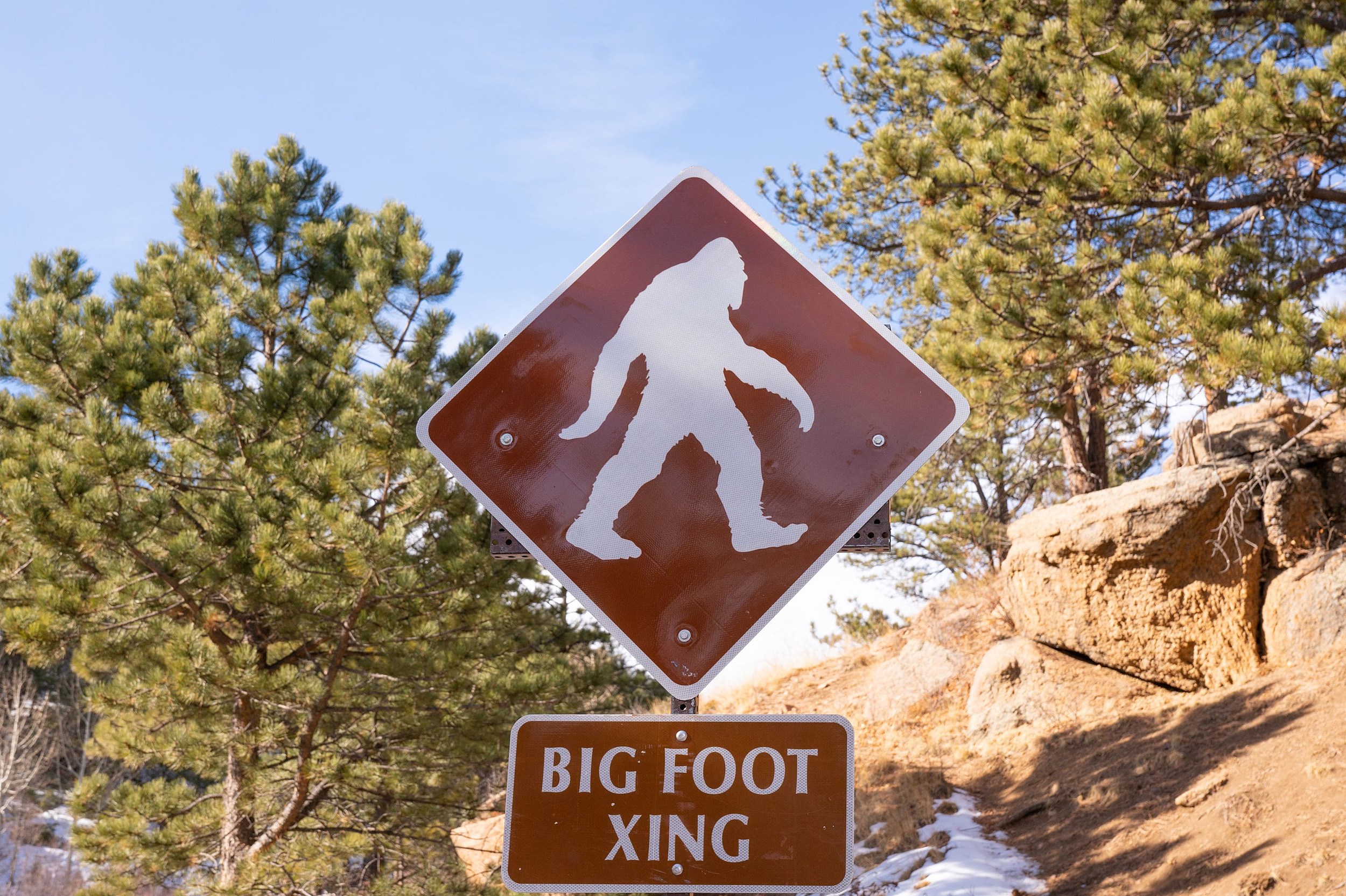 https://keyw.com/bigfoot-hiding-spots-washington-state/