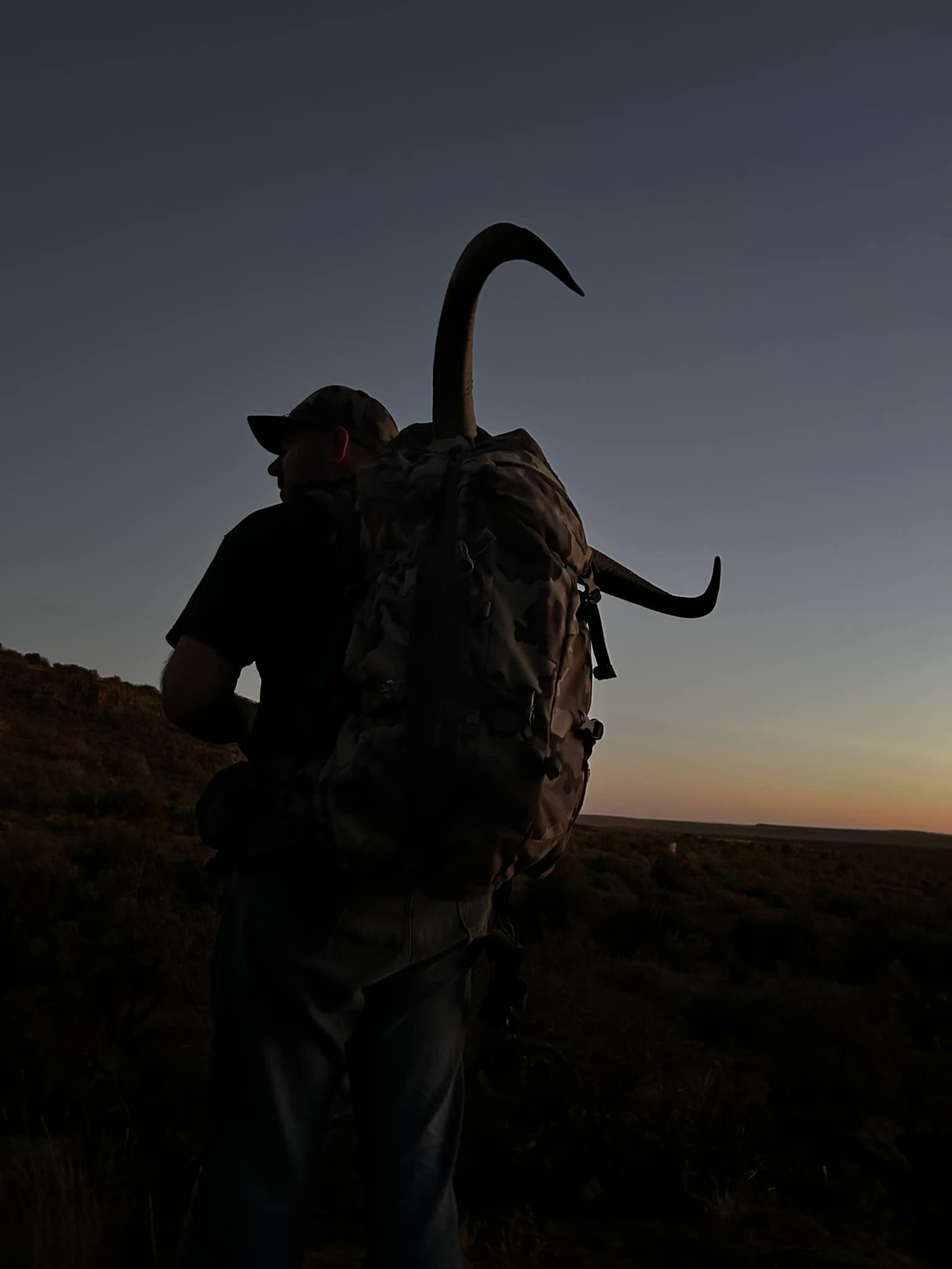 Texas aoudad hunt.