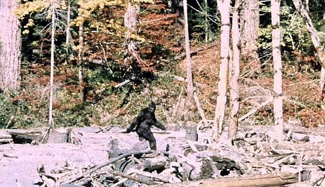 Bigfoot Sighting, Patterson Gimlin