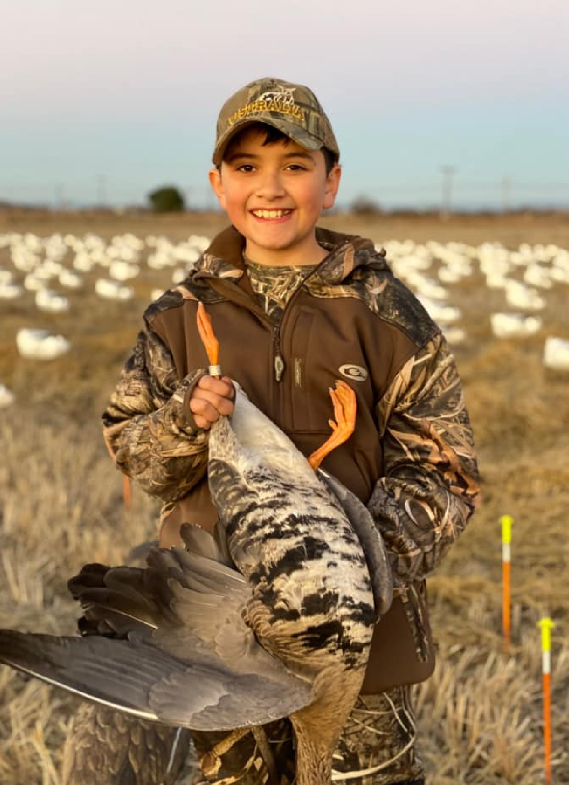 Youth hunter shown with a banded California specklebelly goose hunt.