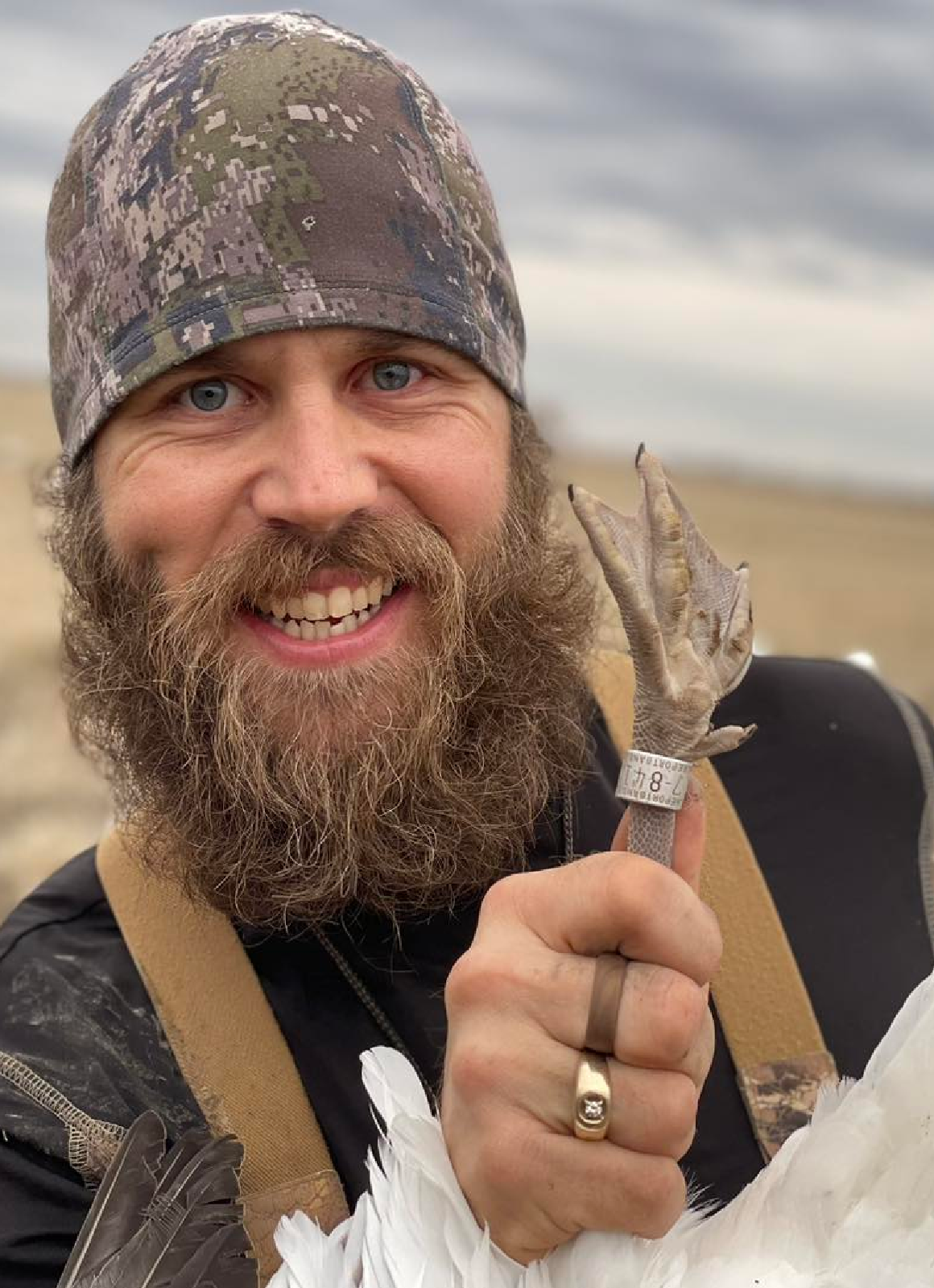 Waterfowl hunting in Michigan, conservation snow goose.